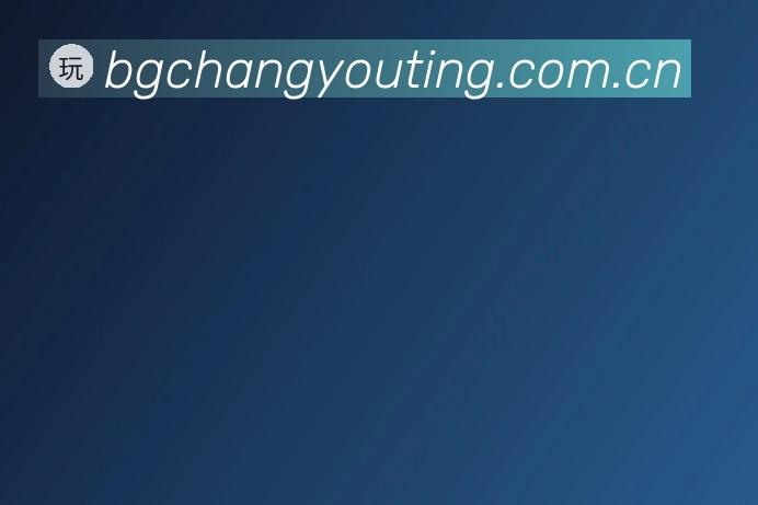 关于BG电子游戏