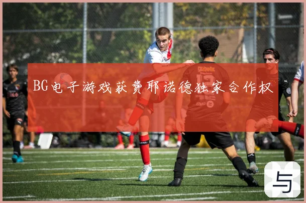 BG电子游戏获费耶诺德独家合作权